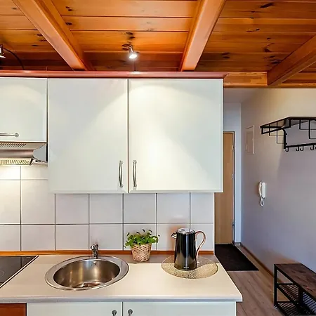 Złote Kierpce Jacuzzi Basen Sauna Apartment Zakopane