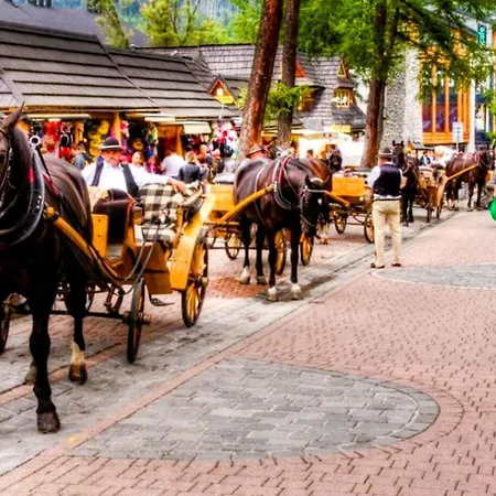 Lägenhet Zlote Kierpce Jacuzzi Basen Sauna