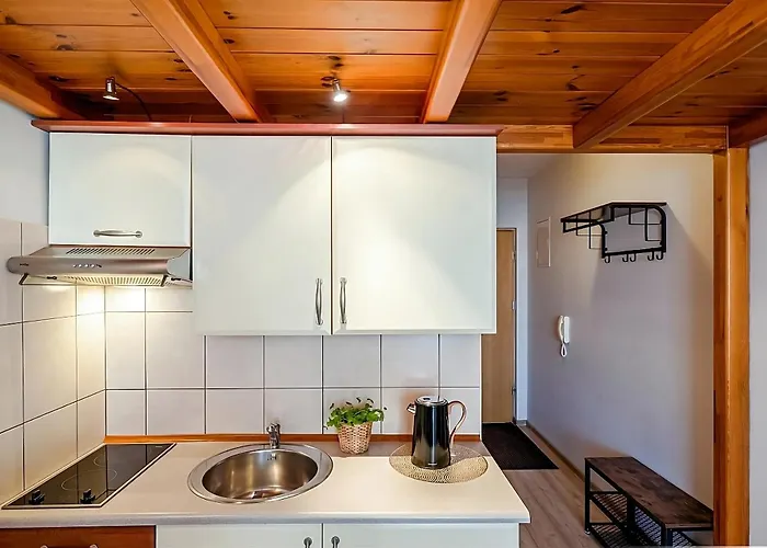 Złote Kierpce Jacuzzi Basen Sauna Apartment Zakopane